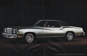1977 Chevrolet Monte Carlo (Cdn)-02-03.jpg
